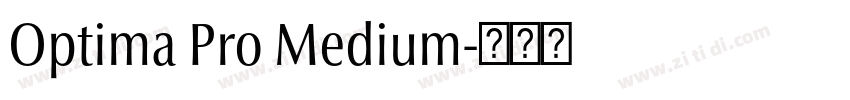 Optima Pro Medium字体转换
